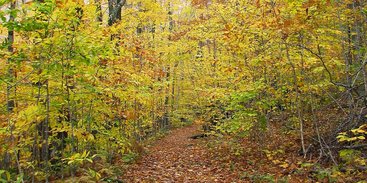 Hiking
