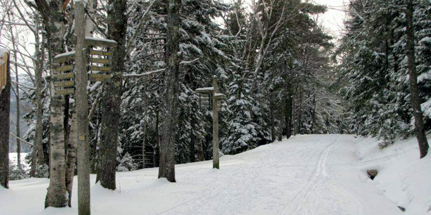 Nordic Skiing