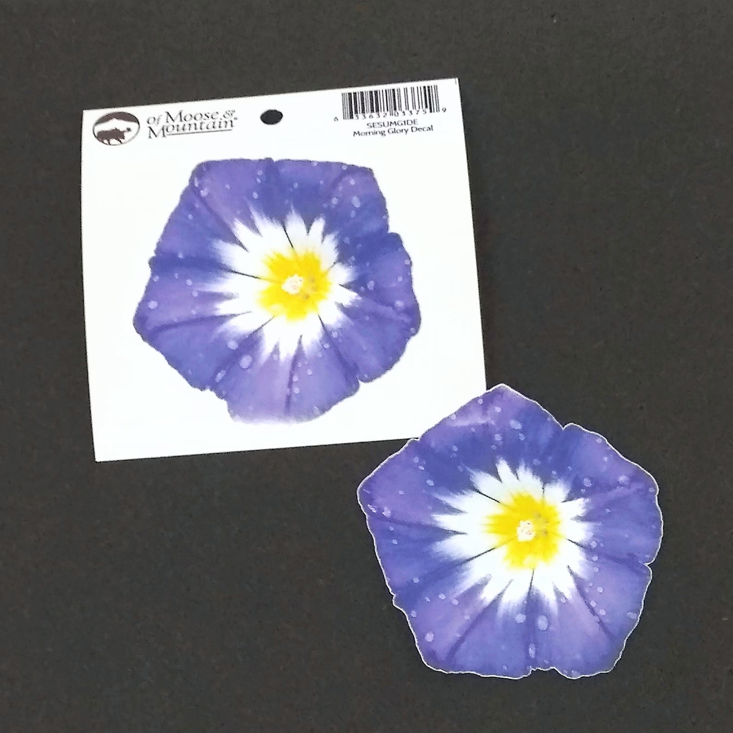 Morning Glory Sticker