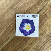 Morning Glory Sticker