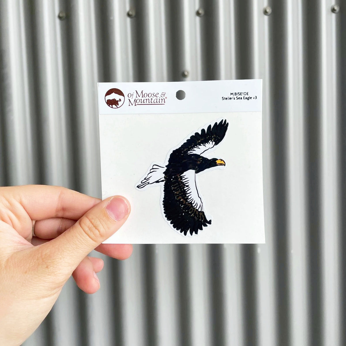 Steller's Sea Eagle Sticker