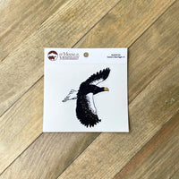 Steller's Sea Eagle Sticker