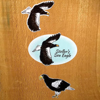 Steller's Sea Eagle Sticker