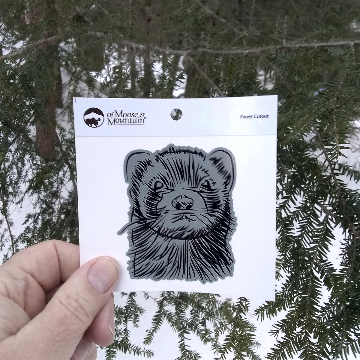 Ferret Sketch Sticker