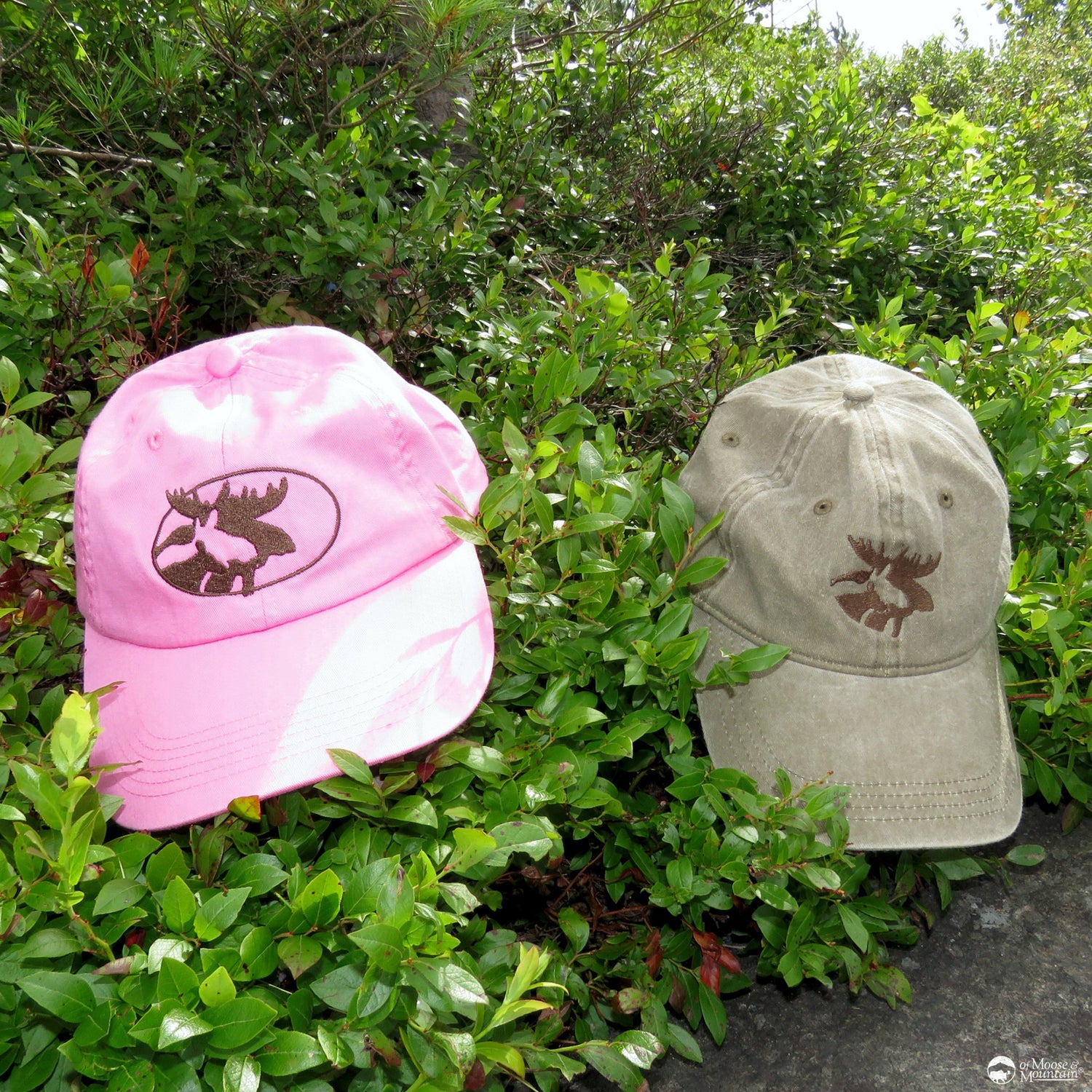 Pink and beige caps with a moose logo on green foliage