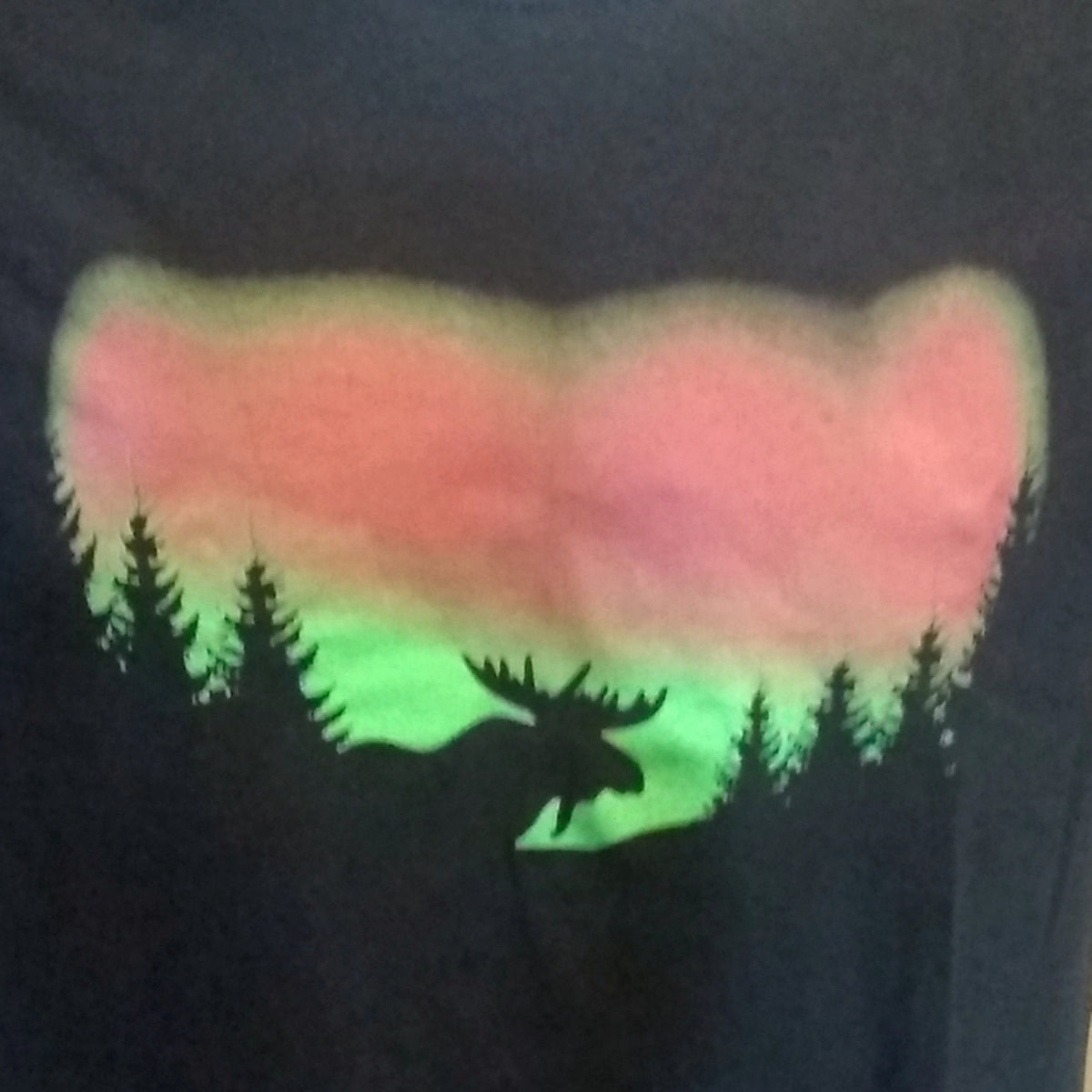 Northern Lights Men's T-Shirt