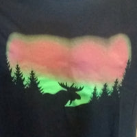 Northern Lights Men's T-Shirt