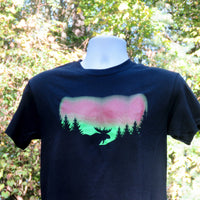 Northern Lights Men's T-Shirt