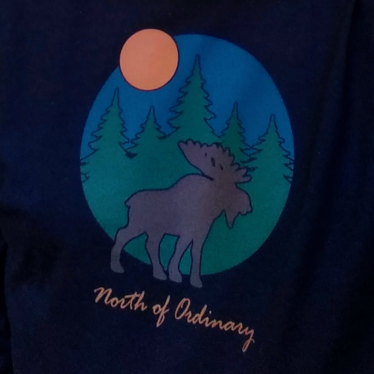 Black shirt with a moose graphic and 'North of Ordinary' text on a dark background