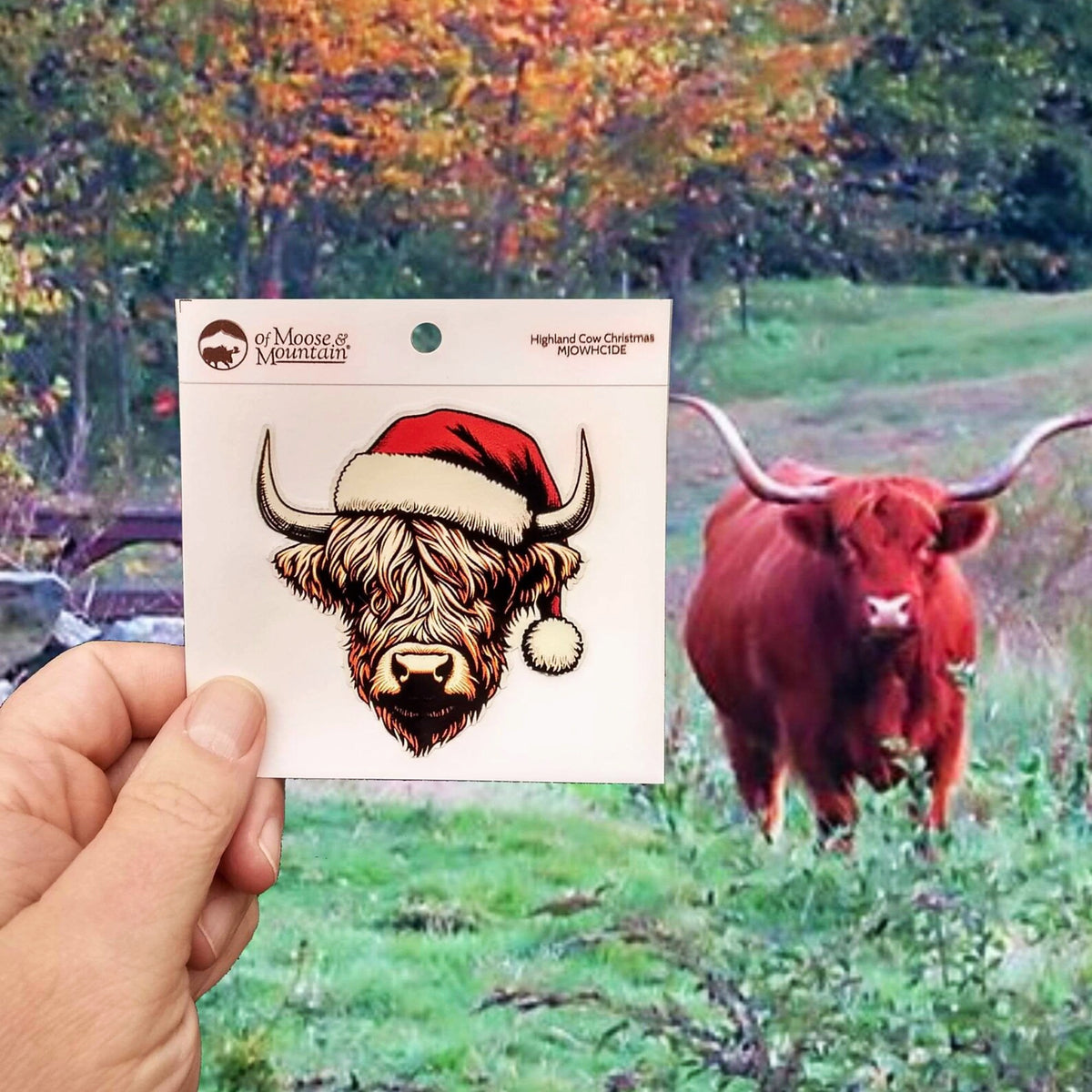 Highland Cow Christmas Sticker