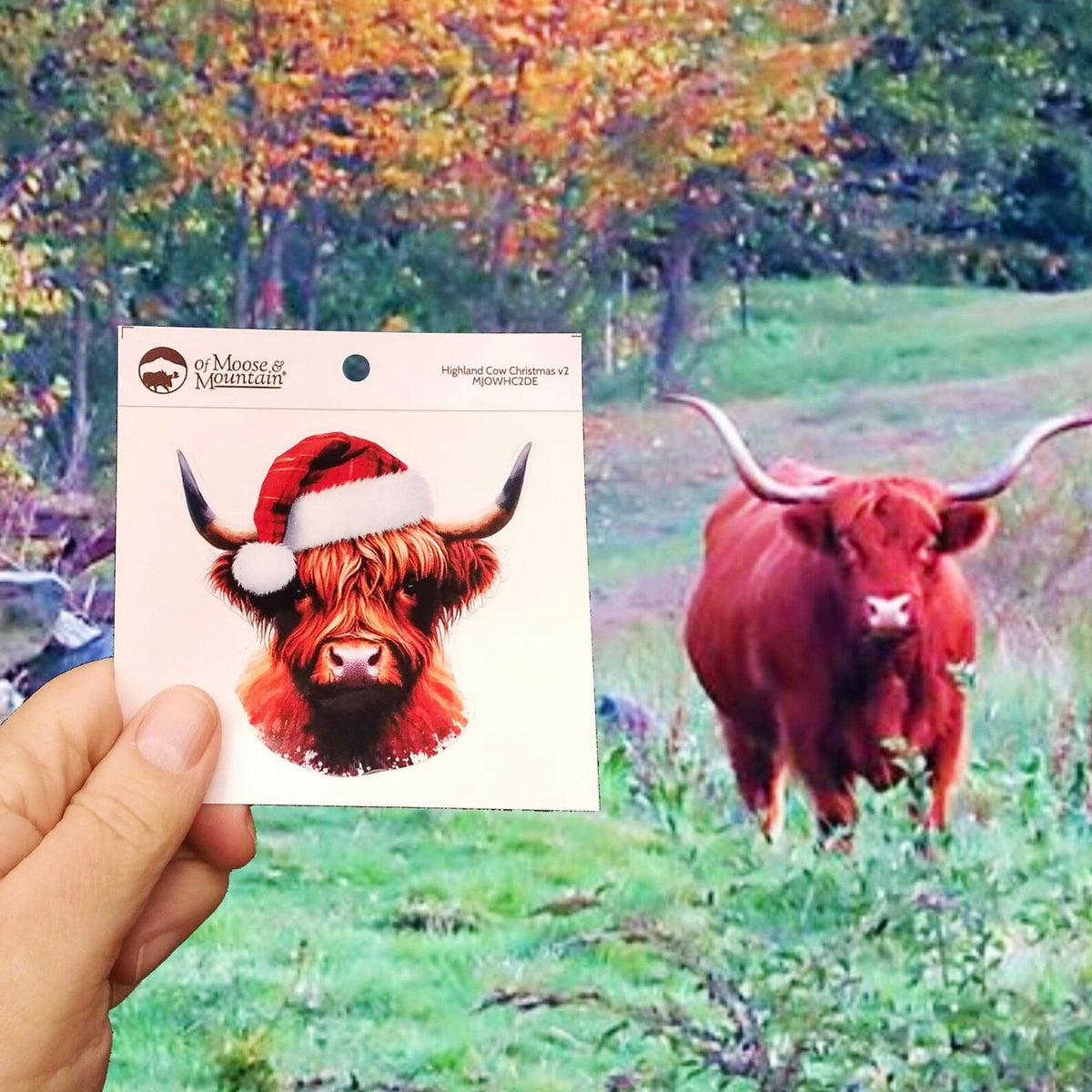Highland Cow Christmas Sticker