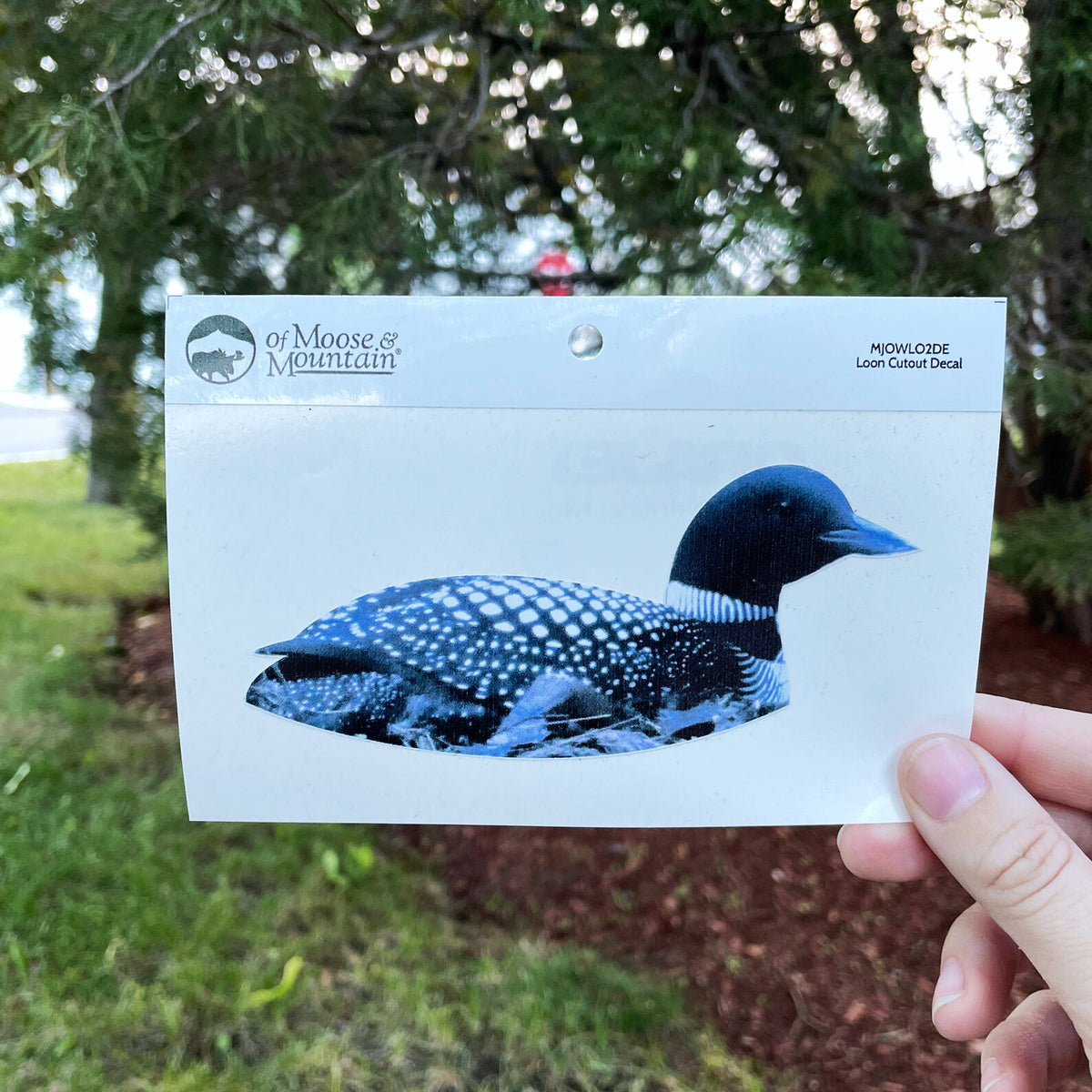 Loon Sticker
