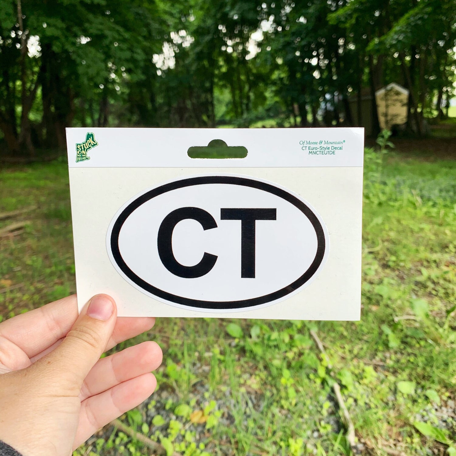 Connecticut CT Euro-Style Sticker