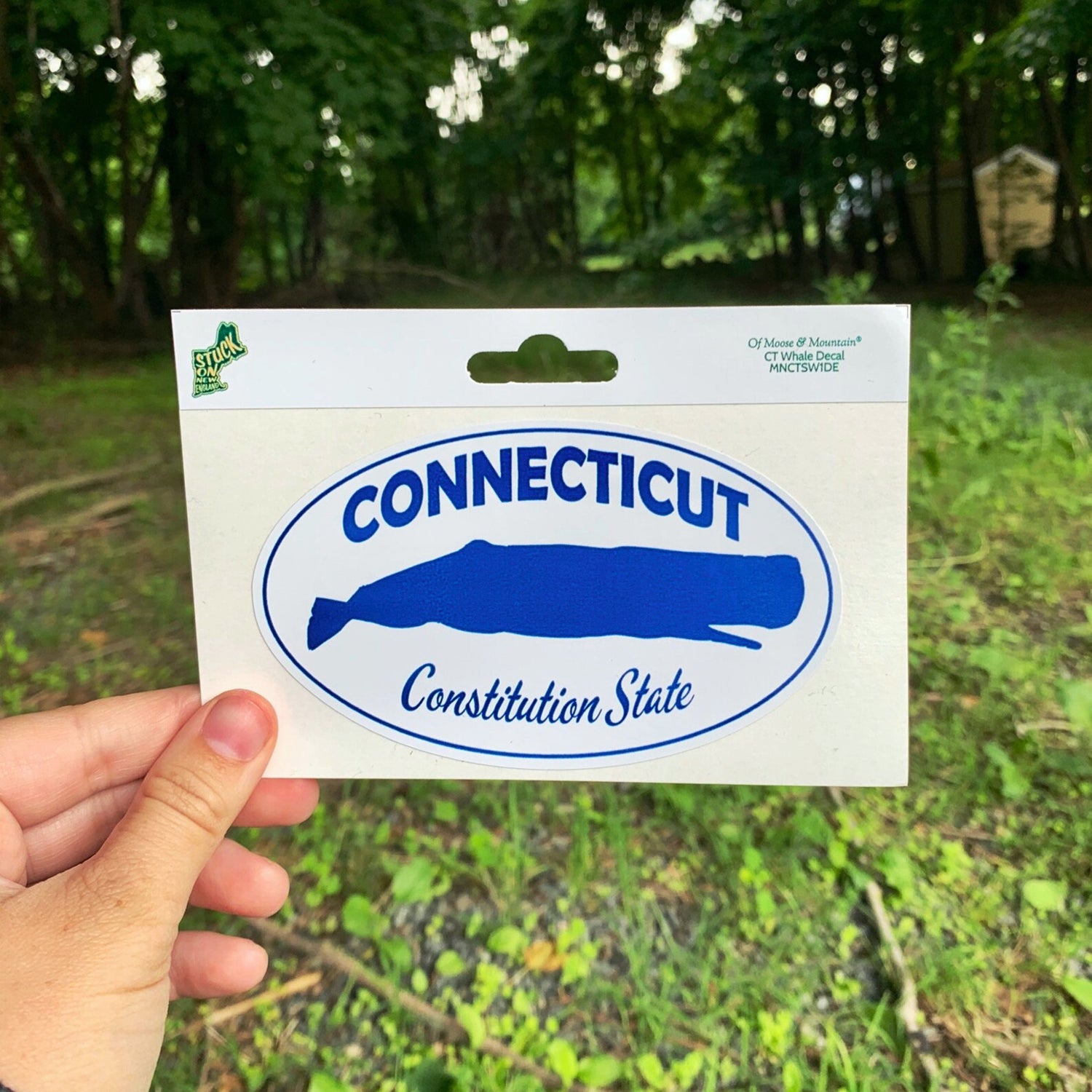 Connecticut Whale Sticker
