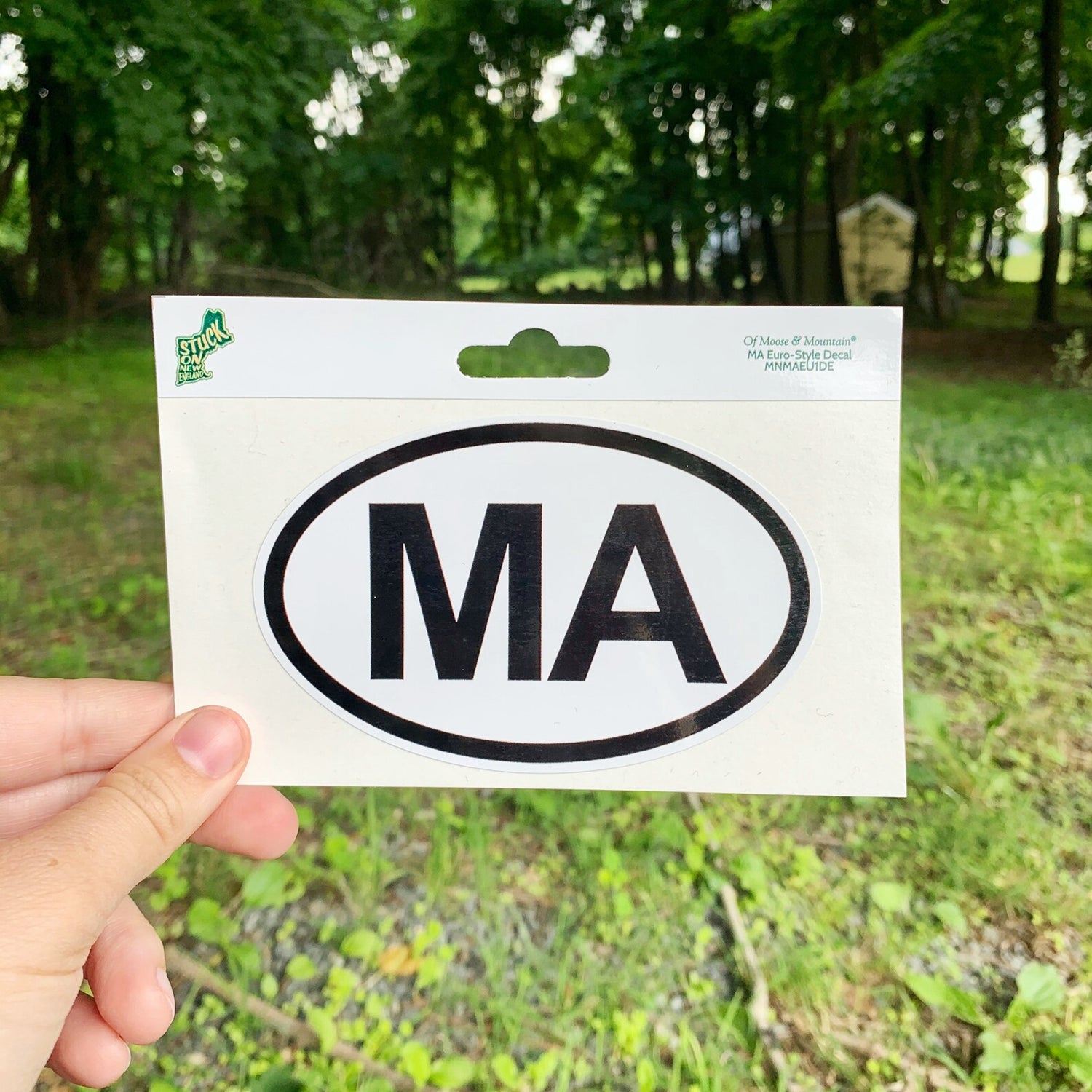 Massachusetts MA Euro Style Sticker