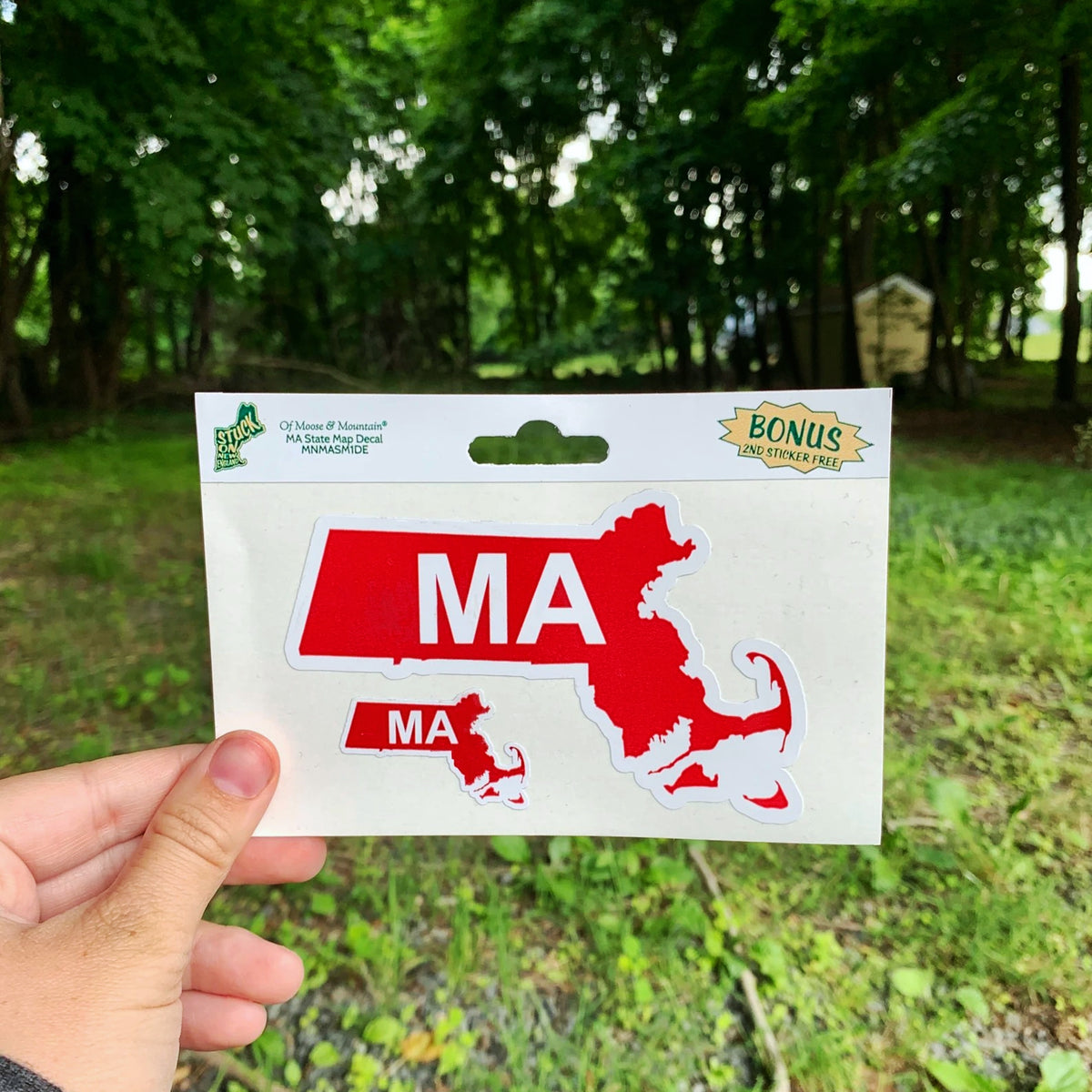 Massachusetts MA Outline with Bonus Mini Sticker