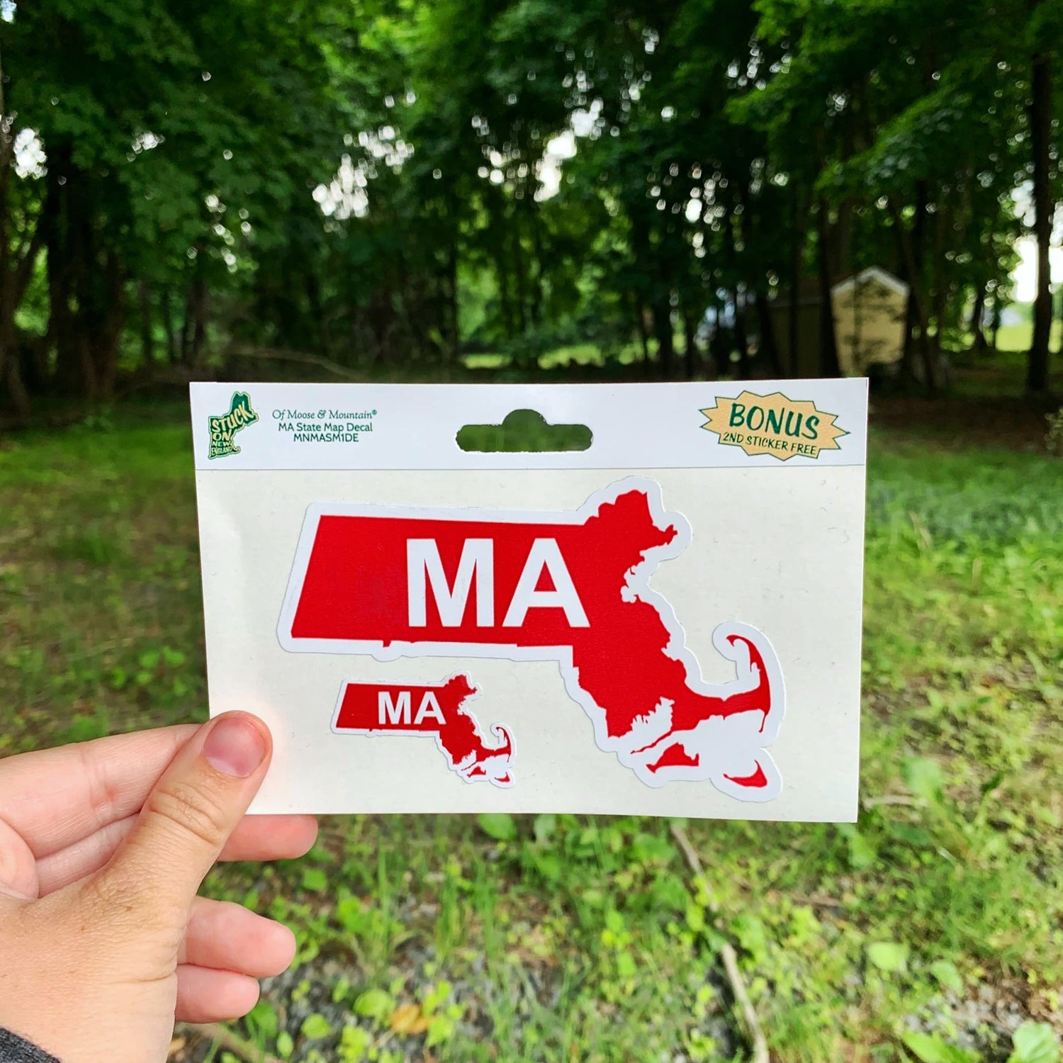 Massachusetts MA Outline with Bonus Mini Sticker