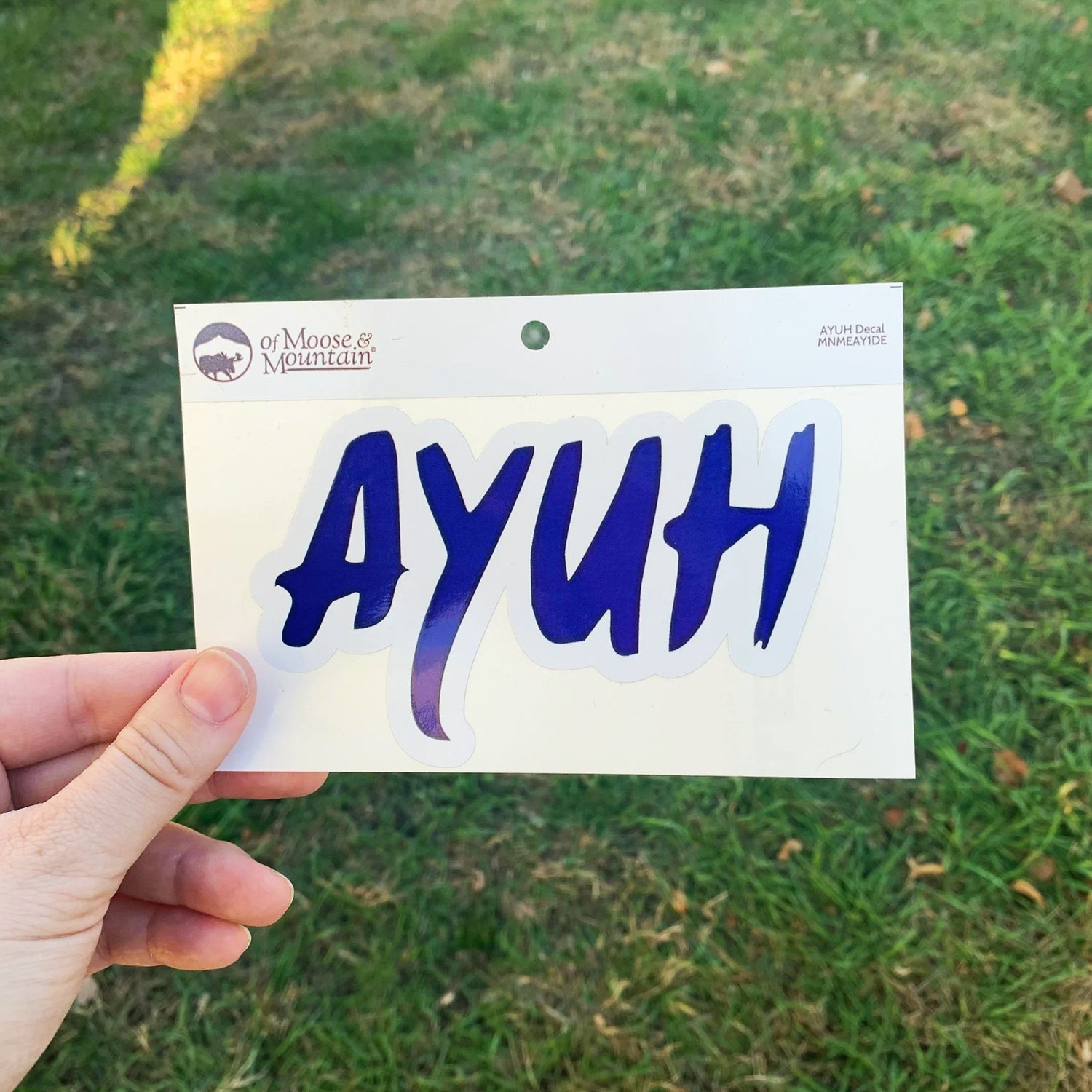 Ayuh Maine Local Saying Sticker