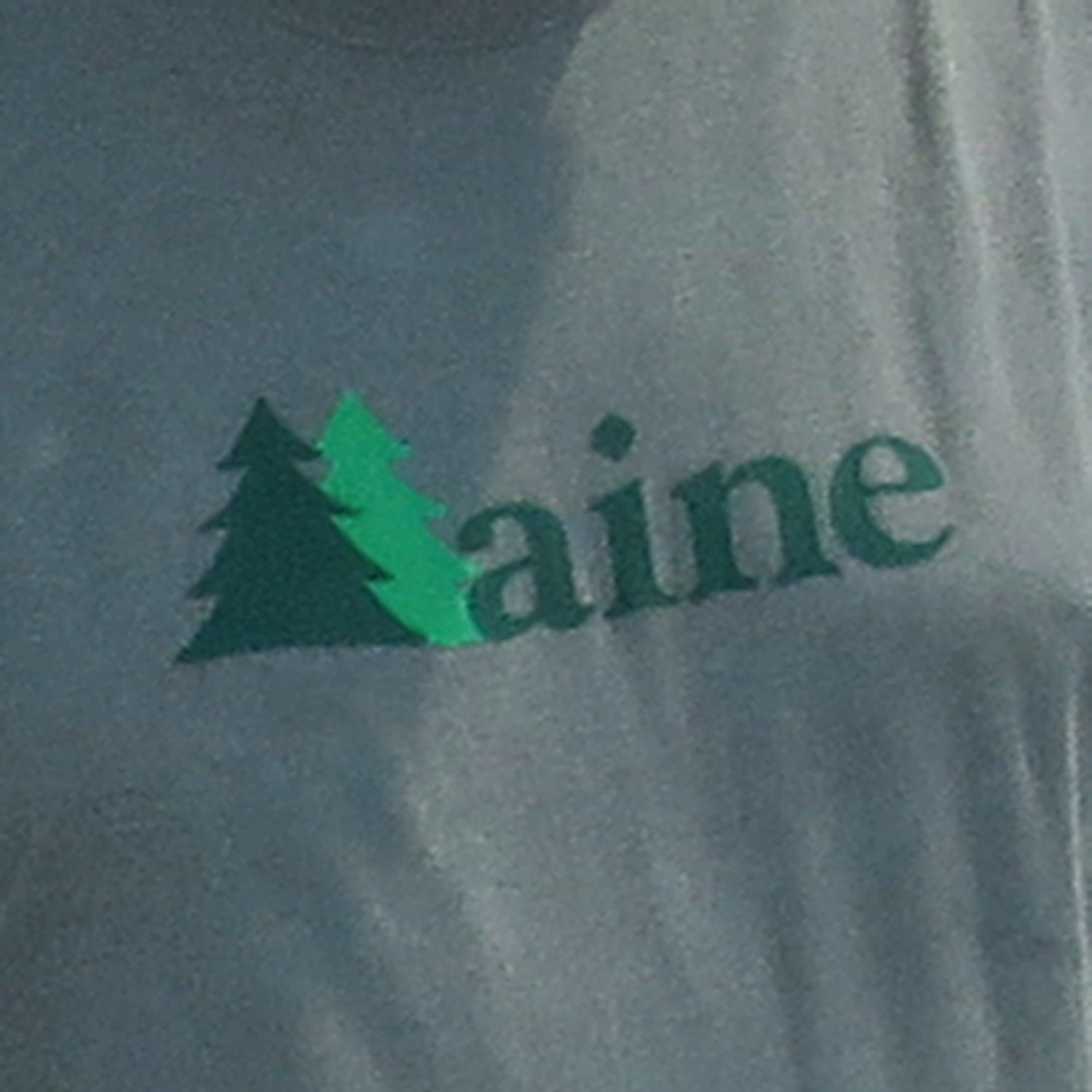 Logo with a green tree and 'Maine' text on a green background