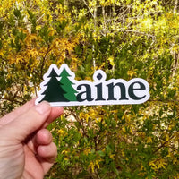 Maine Pine Tree Sticker