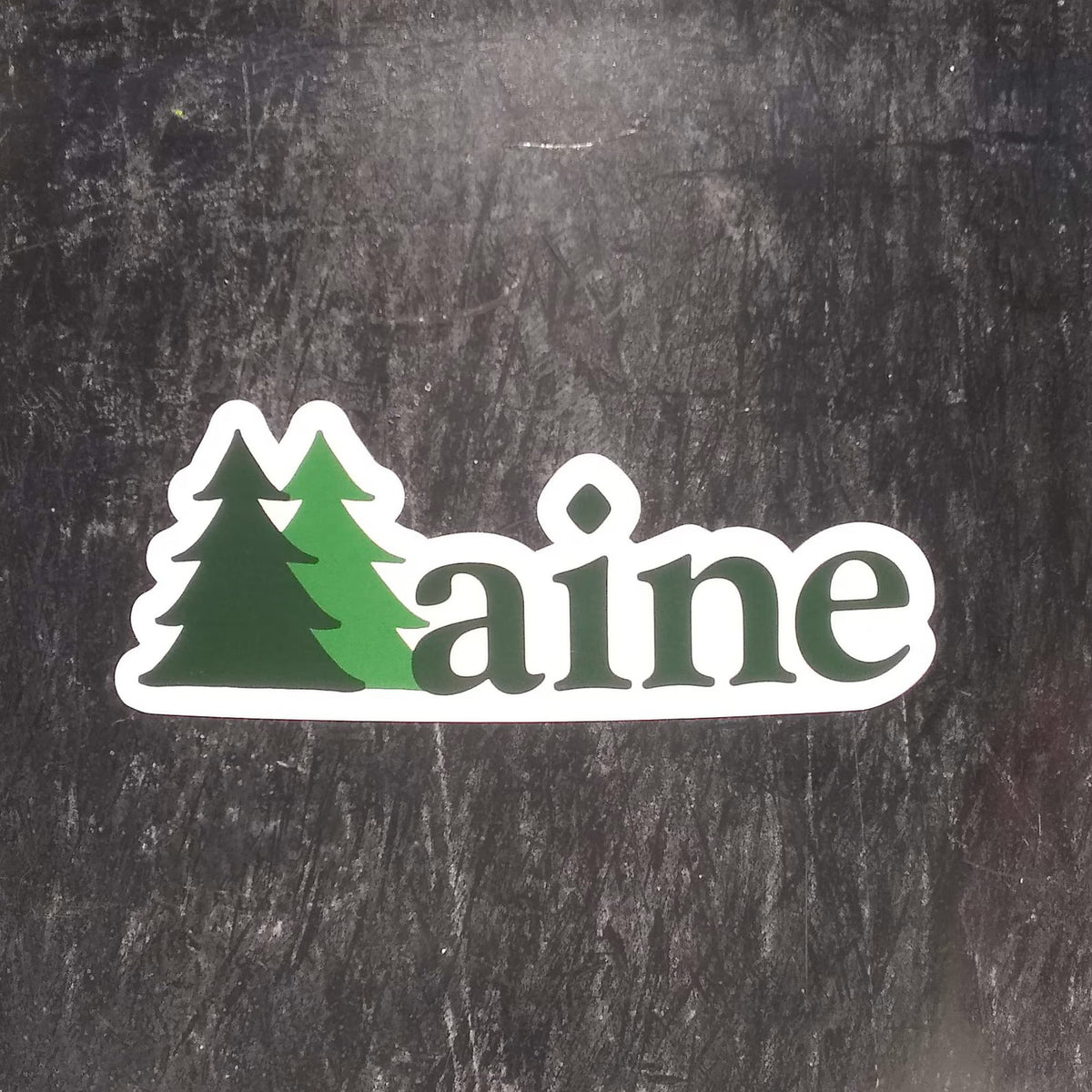 Maine Pine Tree Sticker