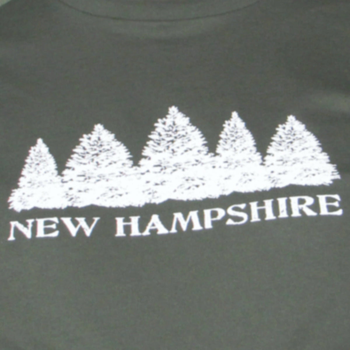New Hampshire Evergreens Men's T-Shirt