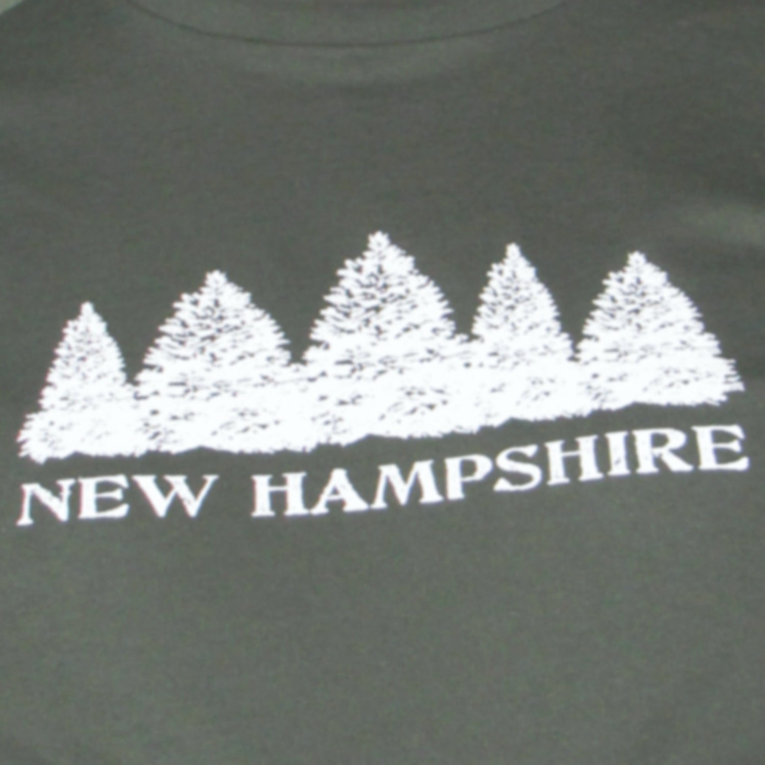 New Hampshire Evergreens Men's T-Shirt
