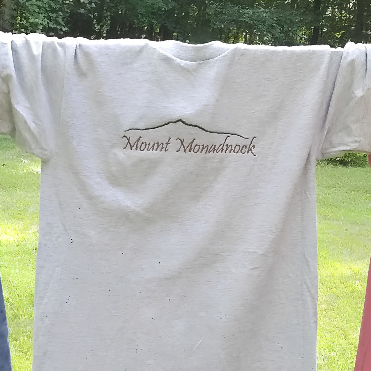 Mount Monadnock Ridgeline Embroidered T-Shirt