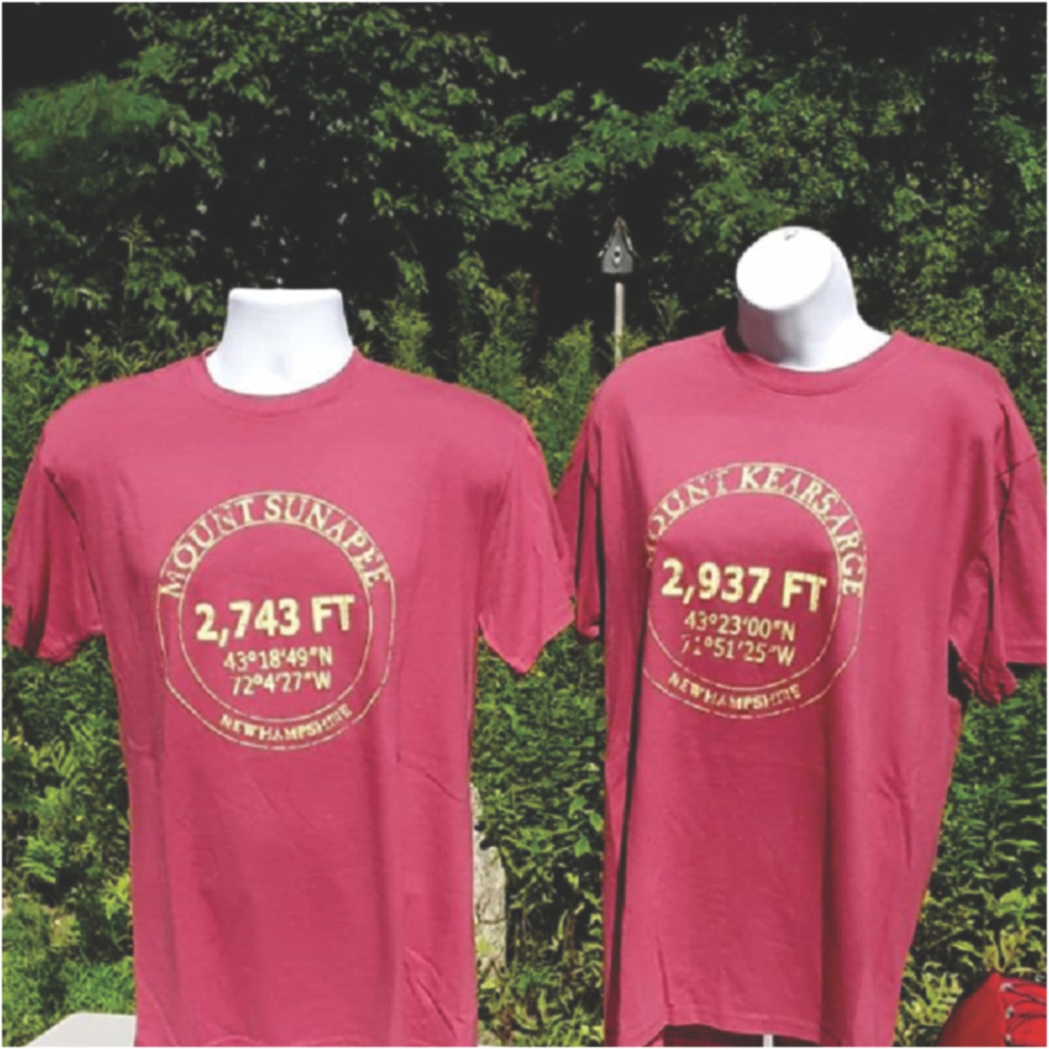 Mount Sunapee 2,743' T-Shirt