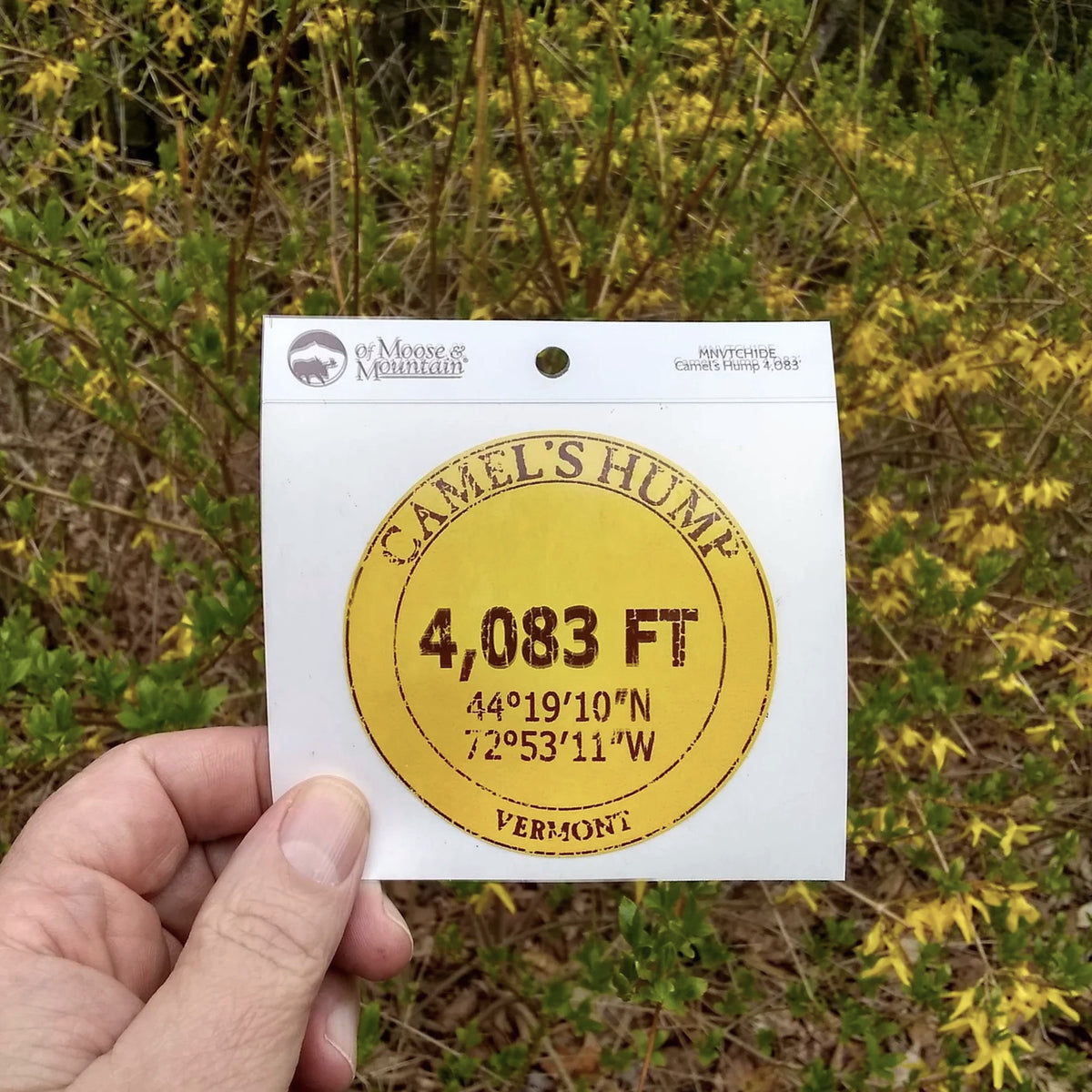 Camel's Hump 4,083′ Sticker